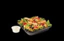 Garden Salad w/ Grilled Chicken
