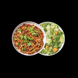 Noodles & Company Japanese Pan Noodles Duo