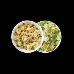 Noodles & Company Roasted Garlic Cream Tortelloni Duo