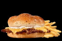 Steak 'n Shake Garlic Single Steakburger and Beef Tallow Fries